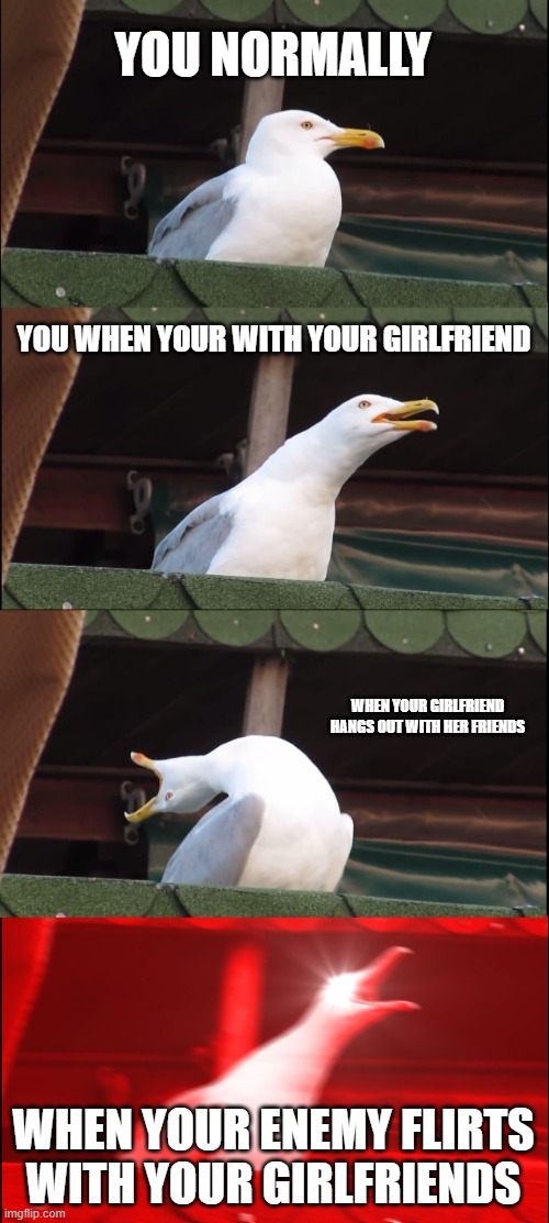 Inhaling Seagull | YOU NORMALLY; YOU WHEN YOUR WITH YOUR GIRLFRIEND; WHEN YOUR GIRLFRIEND HANGS OUT WITH HER FRIENDS; WHEN YOUR ENEMY FLIRTS WITH YOUR GIRLFRIENDS | image tagged in memes,inhaling seagull | made w/ Imgflip meme maker