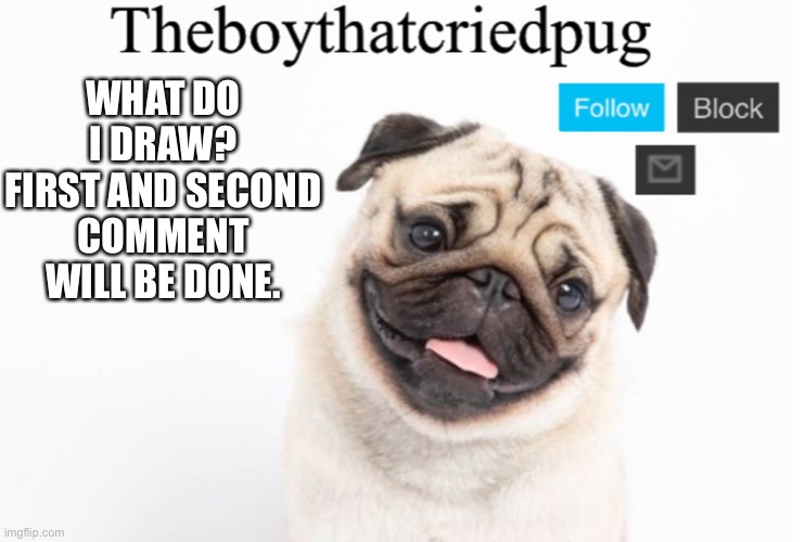 Pls ideas | WHAT DO I DRAW? FIRST AND SECOND COMMENT WILL BE DONE. | image tagged in theboythatcriedpug | made w/ Imgflip meme maker