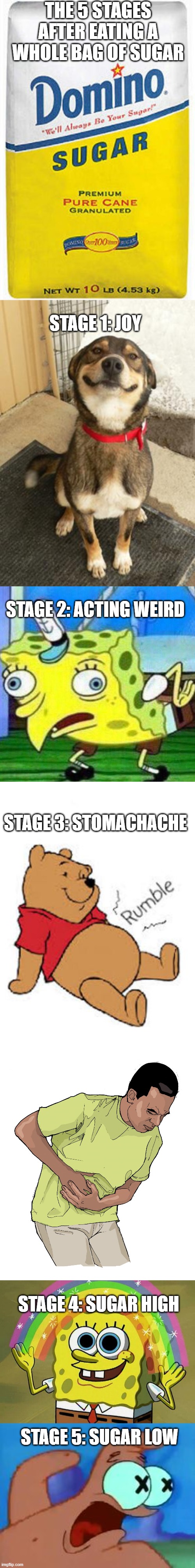 The 5 stages of Sugar consumption | THE 5 STAGES AFTER EATING A WHOLE BAG OF SUGAR; STAGE 1: JOY; STAGE 2: ACTING WEIRD; STAGE 3: STOMACHACHE; STAGE 4: SUGAR HIGH; STAGE 5: SUGAR LOW | image tagged in bag of sugar,dog smiling big,triggerpaul,tummy rumble,eola-stomach-pain jpg,memes | made w/ Imgflip meme maker