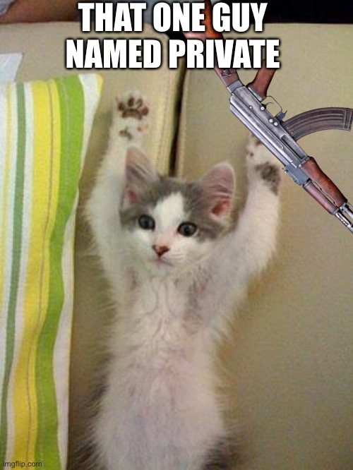 Hands up kitten | THAT ONE GUY NAMED PRIVATE | image tagged in hands up kitten | made w/ Imgflip meme maker