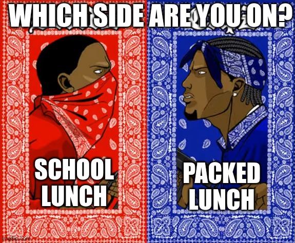 Personally, I'm on blue side | WHICH SIDE ARE YOU ON? PACKED LUNCH; SCHOOL LUNCH | image tagged in which side are you on | made w/ Imgflip meme maker