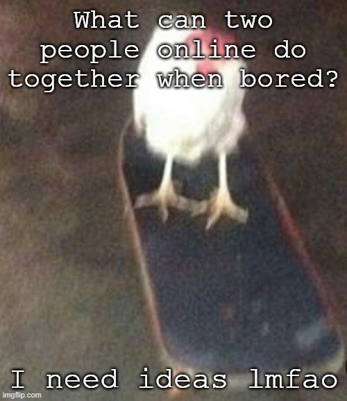 Dog on skateboard | What can two people online do together when bored? I need ideas lmfao | image tagged in dog on skateboard | made w/ Imgflip meme maker