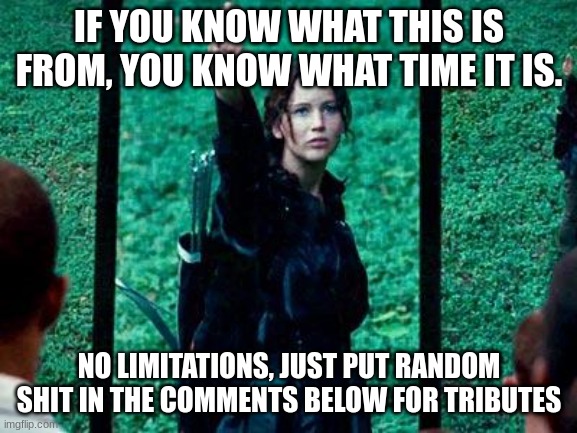 Hunger Games 2 | IF YOU KNOW WHAT THIS IS FROM, YOU KNOW WHAT TIME IT IS. NO LIMITATIONS, JUST PUT RANDOM SHIT IN THE COMMENTS BELOW FOR TRIBUTES | image tagged in hunger games 2 | made w/ Imgflip meme maker