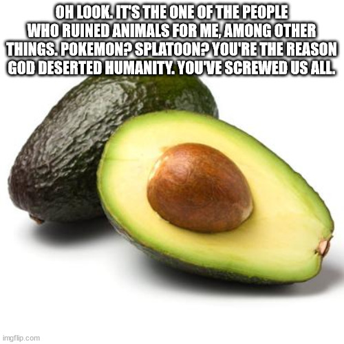 Avocado Guilt | OH LOOK. IT'S THE ONE OF THE PEOPLE WHO RUINED ANIMALS FOR ME, AMONG OTHER THINGS. POKEMON? SPLATOON? YOU'RE THE REASON GOD DESERTED HUMANIT | image tagged in avocado guilt | made w/ Imgflip meme maker