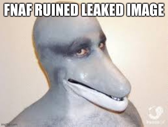 Dolphin Guy | FNAF RUINED LEAKED IMAGE | image tagged in dolphin guy | made w/ Imgflip meme maker