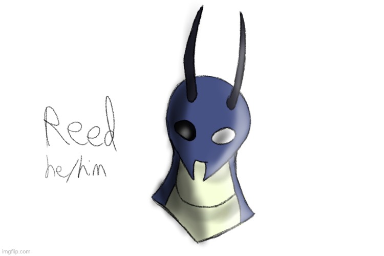 New Hollow Knight OC time | image tagged in hollow knight | made w/ Imgflip meme maker