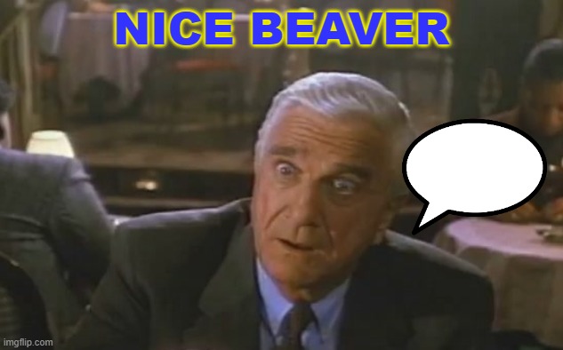 Nice Beaver | NICE BEAVER | image tagged in the naked gun | made w/ Imgflip meme maker