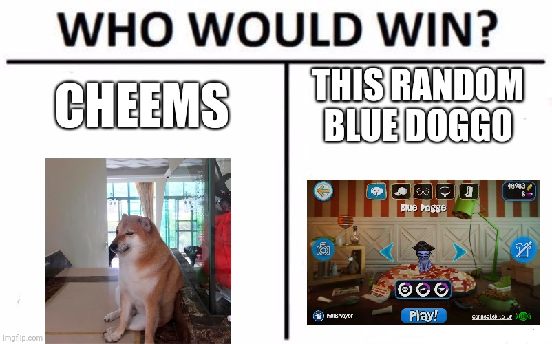 Cheems or a random blue doggo |  CHEEMS; THIS RANDOM BLUE DOGGO | image tagged in memes,who would win,dogs,doggo | made w/ Imgflip meme maker