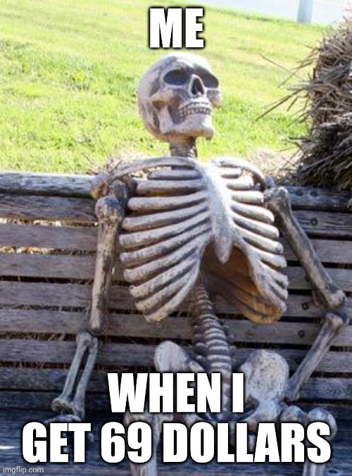 BRUH | ME; WHEN I GET 69 DOLLARS | image tagged in memes,waiting skeleton | made w/ Imgflip meme maker