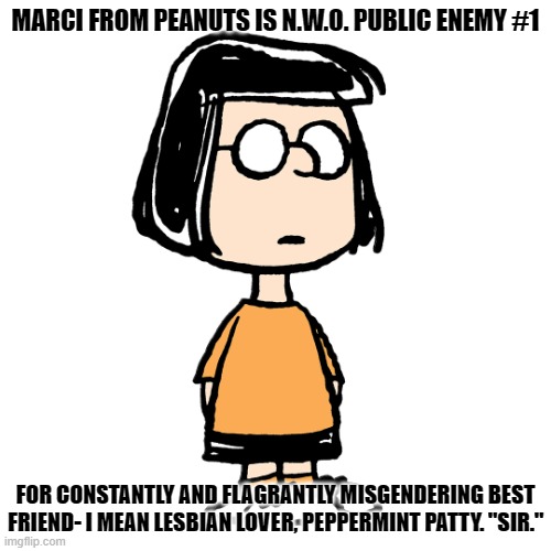 Marci is Bad TOday | MARCI FROM PEANUTS IS N.W.O. PUBLIC ENEMY #1; FOR CONSTANTLY AND FLAGRANTLY MISGENDERING BEST FRIEND- I MEAN LESBIAN LOVER, PEPPERMINT PATTY. "SIR." | image tagged in marcie,misgendering,sir | made w/ Imgflip meme maker
