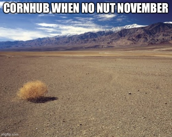Cornhub when on NO Nut November | CORNHUB WHEN NO NUT NOVEMBER | image tagged in desert tumbleweed,nnn,bechad | made w/ Imgflip meme maker