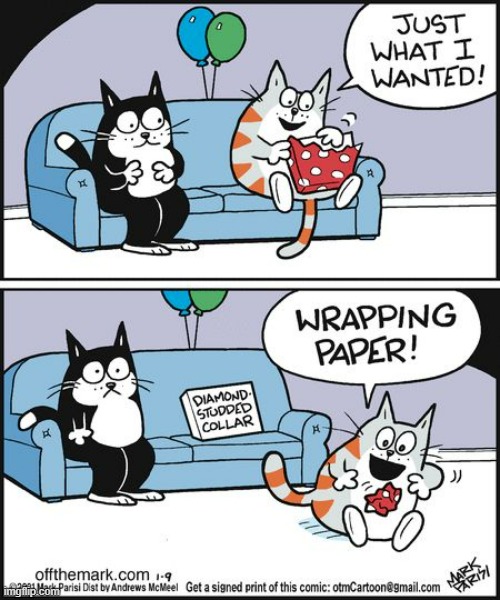 image tagged in memes,comics,cats,gift,oh yeah,wrapping | made w/ Imgflip meme maker