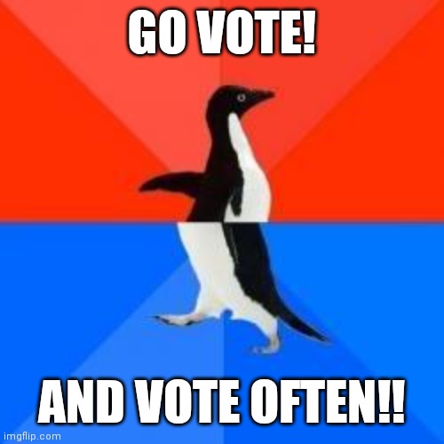 Democracy Is The Ballot | GO VOTE! AND VOTE OFTEN!! | image tagged in socially awkward penguin red top blue bottom,division,control,power,vote,we the people | made w/ Imgflip meme maker