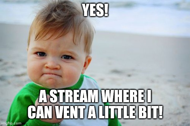 I ain't gonna cry dw | YES! A STREAM WHERE I CAN VENT A LITTLE BIT! | image tagged in memes,success kid original | made w/ Imgflip meme maker