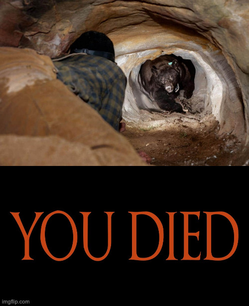 image tagged in dark souls you died | made w/ Imgflip meme maker