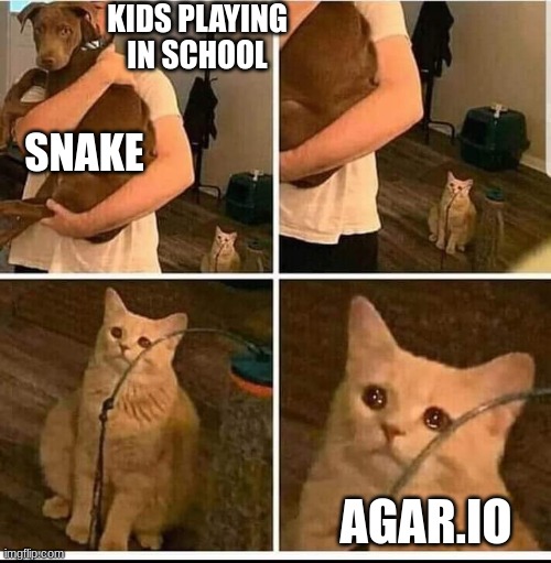 Agar.io was will always be remembered | KIDS PLAYING IN SCHOOL; SNAKE; AGAR.IO | image tagged in man holding dog but cat is sad,agario,funny,dankmemes,memes,school meme | made w/ Imgflip meme maker