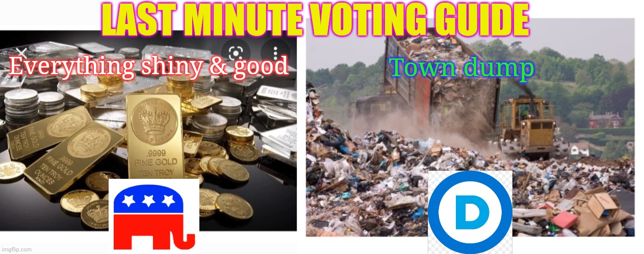 CHOOSE WISELY | LAST MINUTE VOTING GUIDE; Town dump; Everything shiny & good | image tagged in crying democrats,you're fired,vote,republican party,always | made w/ Imgflip meme maker