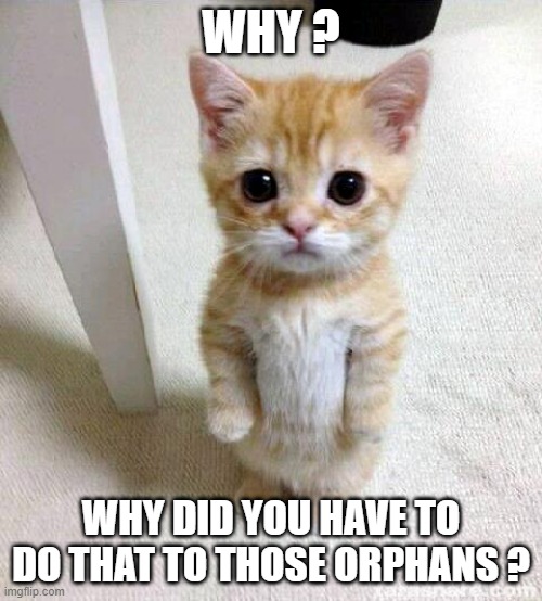 cute :) | WHY ? WHY DID YOU HAVE TO DO THAT TO THOSE ORPHANS ? | image tagged in memes,cute cat | made w/ Imgflip meme maker