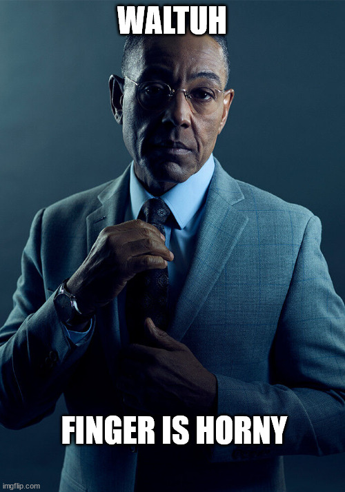 Gus Fring we are not the same | WALTUH; FINGER IS HORNY | image tagged in gus fring we are not the same | made w/ Imgflip meme maker