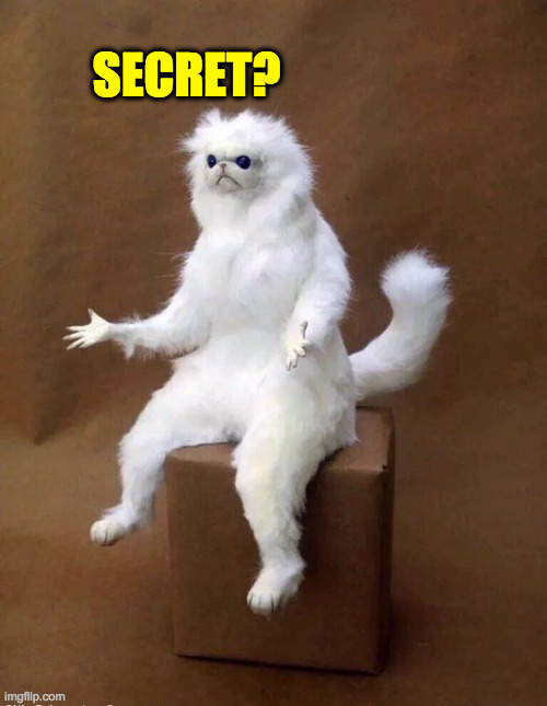 Confused monkey | SECRET? | image tagged in confused monkey | made w/ Imgflip meme maker