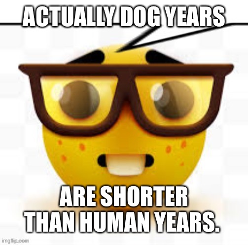 says the nerd | ACTUALLY DOG YEARS; ARE SHORTER THAN HUMAN YEARS. | image tagged in says the nerd | made w/ Imgflip meme maker