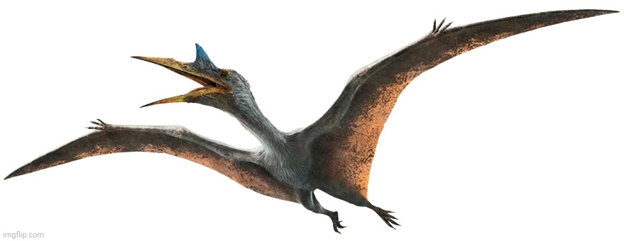 Quetzalcoatlus (JWD Design) | image tagged in quetzalcoatlus jwd design | made w/ Imgflip meme maker