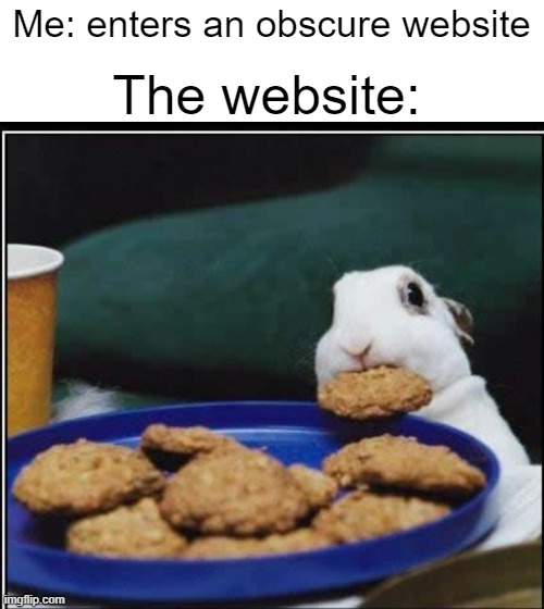 ThIs SiTe RuNs On CoOkIeS- no, just let me browse. |  The website:; Me: enters an obscure website | image tagged in bunny eating cookie | made w/ Imgflip meme maker