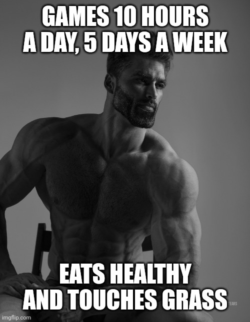 Giga Chad | GAMES 10 HOURS A DAY, 5 DAYS A WEEK EATS HEALTHY AND TOUCHES GRASS | image tagged in giga chad | made w/ Imgflip meme maker