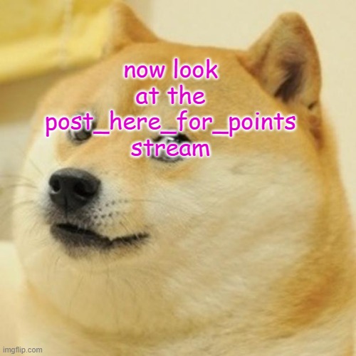 Doge | now look at the post_here_for_points stream | image tagged in memes,doge | made w/ Imgflip meme maker