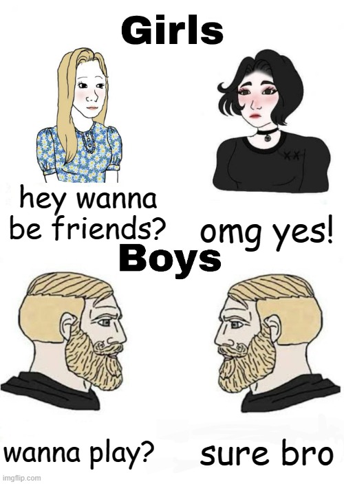 how girls and boys make friends | hey wanna be friends? omg yes! sure bro; wanna play? | image tagged in girls vs boys | made w/ Imgflip meme maker