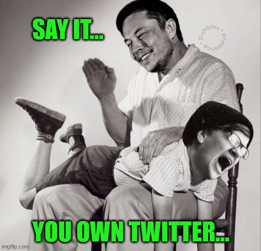 SAY IT... YOU OWN TWITTER... | made w/ Imgflip meme maker
