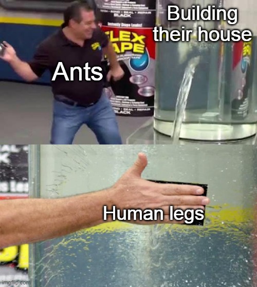 We Used To Do It When We Were Kids | Building their house; Ants; Human legs | image tagged in flex tape | made w/ Imgflip meme maker