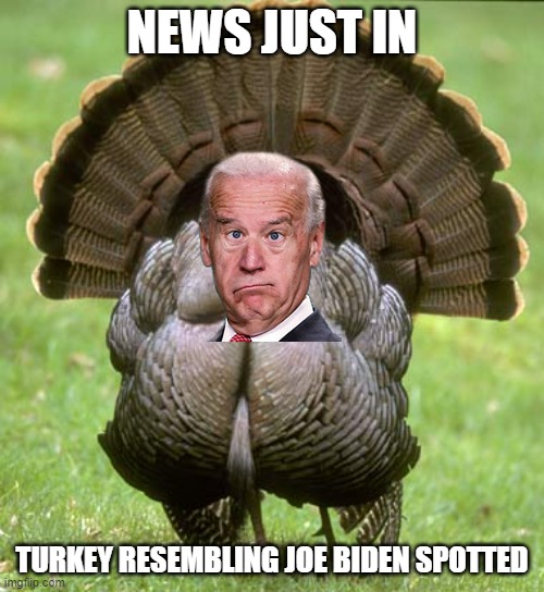 The latest from CNN | NEWS JUST IN; TURKEY RESEMBLING JOE BIDEN SPOTTED | image tagged in memes,turkey,joe biden,democrats,cnn,thanksgiving | made w/ Imgflip meme maker