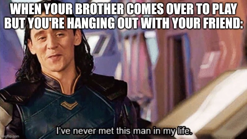 So true, yet so sad | WHEN YOUR BROTHER COMES OVER TO PLAY BUT YOU'RE HANGING OUT WITH YOUR FRIEND: | image tagged in i have never met this man in my life | made w/ Imgflip meme maker