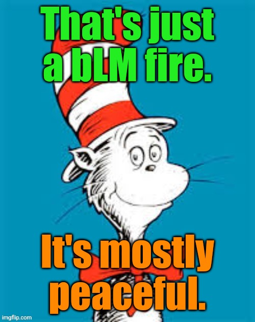 obiden - Shat in the Hat | That's just a bLM fire. It's mostly peaceful. | image tagged in obiden - shat in the hat | made w/ Imgflip meme maker