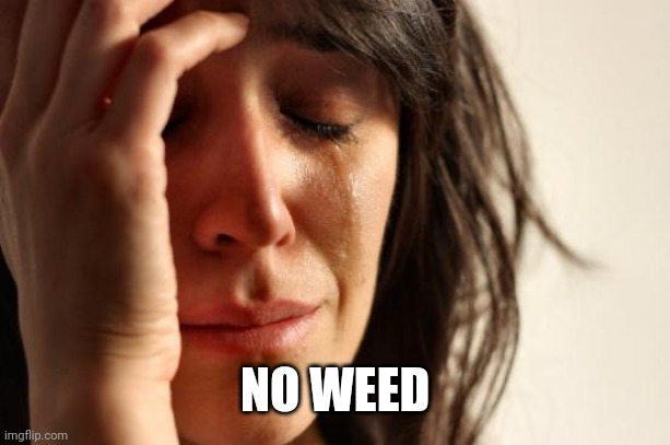 First World Problems | NO WEED | image tagged in memes,first world problems | made w/ Imgflip meme maker