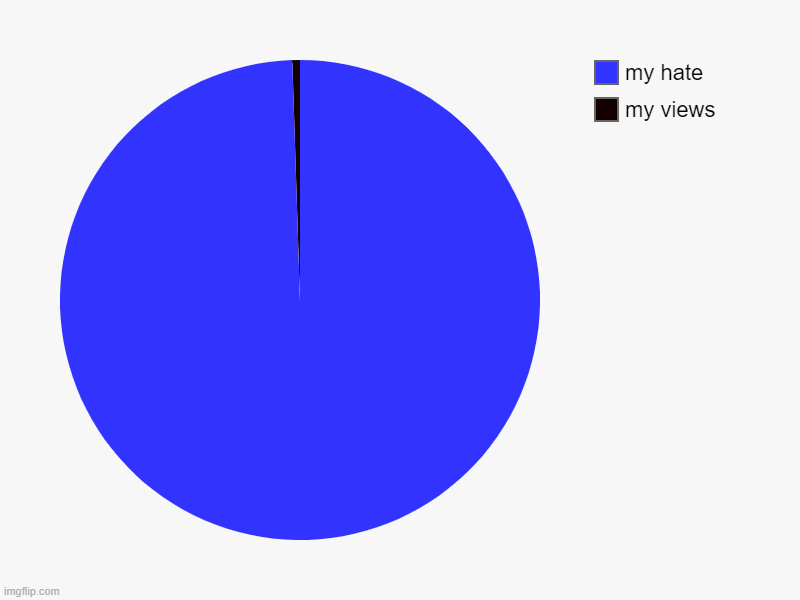 my views, my hate | image tagged in charts,pie charts | made w/ Imgflip chart maker