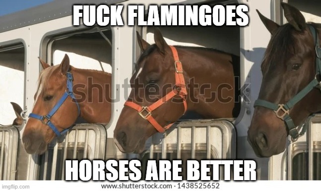 Horse trailer | FUCK FLAMINGOES; HORSES ARE BETTER | image tagged in horse trailer | made w/ Imgflip meme maker