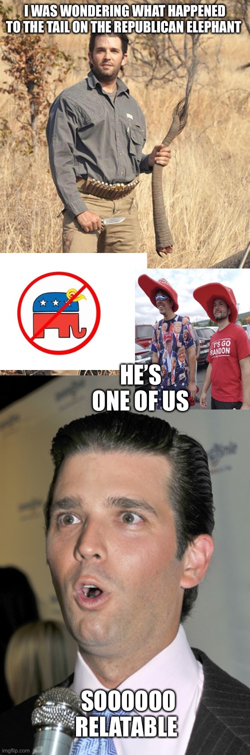 I WAS WONDERING WHAT HAPPENED TO THE TAIL ON THE REPUBLICAN ELEPHANT; HE’S ONE OF US; SOOOOOO RELATABLE | image tagged in donald trump jr,trump jr uh oh | made w/ Imgflip meme maker