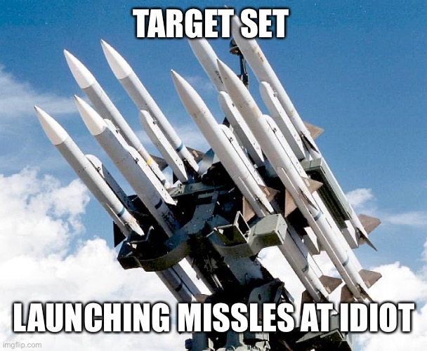 Missles or sth | TARGET SET LAUNCHING MISSLES AT IDIOT | image tagged in missles or sth | made w/ Imgflip meme maker