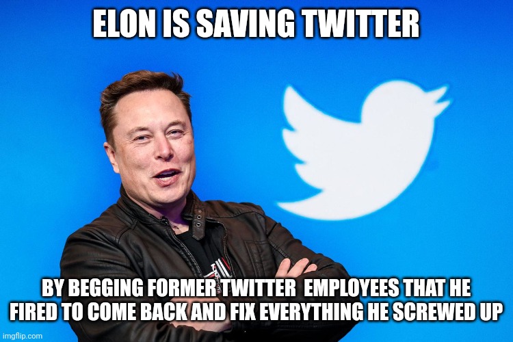 Elon Musk Twitter Savior | ELON IS SAVING TWITTER; BY BEGGING FORMER TWITTER  EMPLOYEES THAT HE FIRED TO COME BACK AND FIX EVERYTHING HE SCREWED UP | image tagged in elon twitter | made w/ Imgflip meme maker