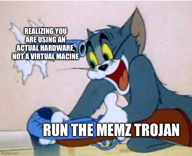 R.I.P PC | REALIZING YOU ARE USING AN ACTUAL HARDWARE, NOT A VIRTUAL MACINE; RUN THE MEMZ TROJAN | image tagged in tom and jerry,memes,computers,computer virus,memz trojan,funny | made w/ Imgflip meme maker