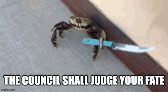 THE COUNCIL SHALL JUDGE YOUR FATE | made w/ Imgflip meme maker