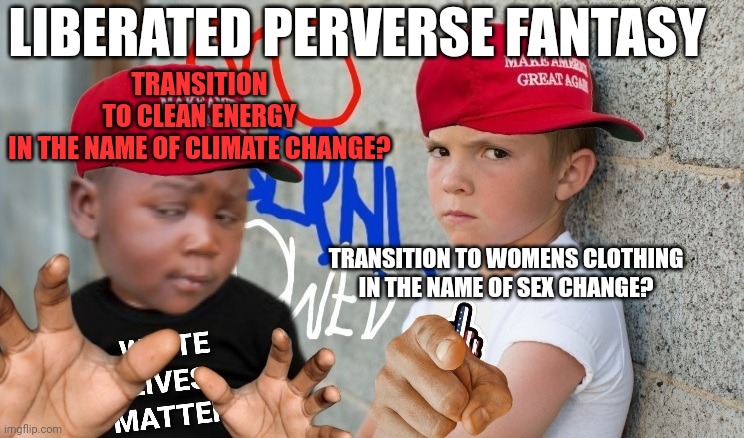 TRANSITION TO CLEAN ENERGY IN THE NAME OF CLIMATE CHANGE? TRANSITION TO WOMENS CLOTHING IN THE NAME OF SEX CHANGE? LIBERATED PERVERSE FANTAS | made w/ Imgflip meme maker