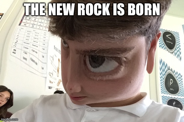 The Rock | THE NEW ROCK IS BORN | image tagged in rock | made w/ Imgflip meme maker