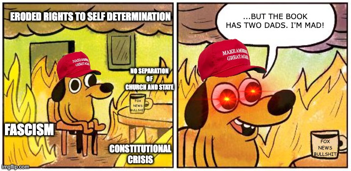 But two penises. | ...BUT THE BOOK HAS TWO DADS. I'M MAD! ERODED RIGHTS TO SELF DETERMINATION; NO SEPARATION OF CHURCH AND STATE; FOX NEWS BULLSHIT; FASCISM; FOX NEWS BULLSHIT; CONSTITUTIONAL CRISIS | image tagged in this is fine blank,gop,maga,crazy,fascism | made w/ Imgflip meme maker