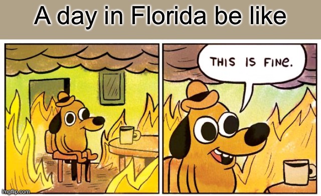 Florida and Australia in a nutshell | A day in Florida be like | image tagged in memes,this is fine | made w/ Imgflip meme maker