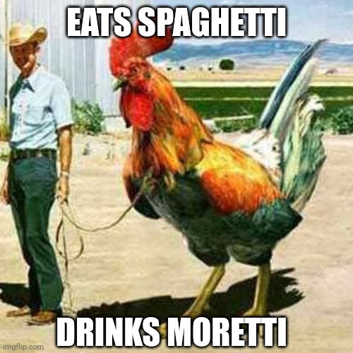 Willy Gnoto | EATS SPAGHETTI; DRINKS MORETTI | image tagged in giant rooster | made w/ Imgflip meme maker