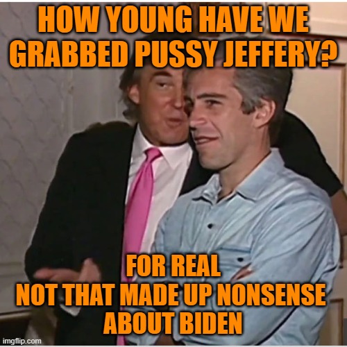 Trump Epstein | HOW YOUNG HAVE WE GRABBED PUSSY JEFFERY? FOR REAL
NOT THAT MADE UP NONSENSE 
ABOUT BIDEN | image tagged in trump epstein | made w/ Imgflip meme maker