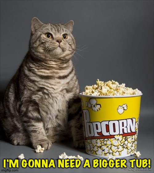 Cat eating popcorn | I'M GONNA NEED A BIGGER TUB! | image tagged in cat eating popcorn | made w/ Imgflip meme maker